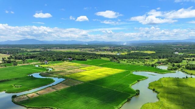 渠水充盈保夏灌