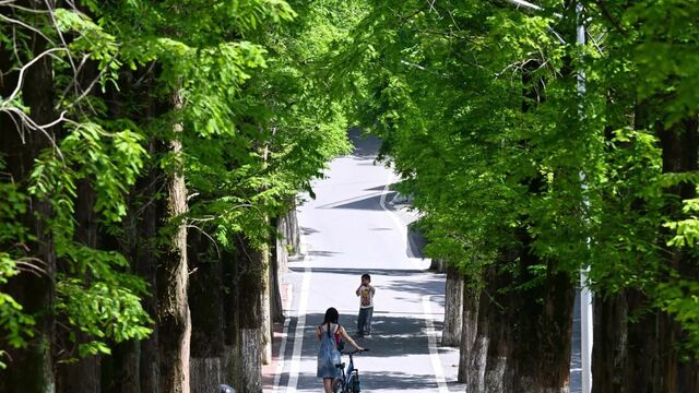 夏日限定“大片”上线