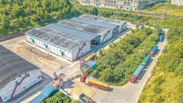夏粮收购