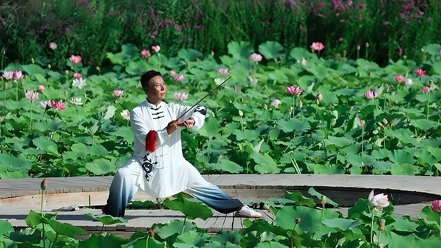 莲荷相伴舞太极　一池青绿入画来
