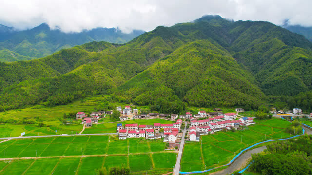 山乡蝶变绽新颜