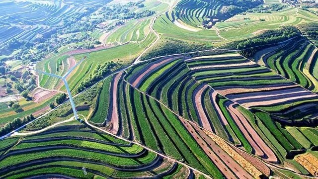 触摸大地指纹　邂逅甘肃通渭最美梯田