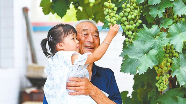梨园深处　古韵悠长