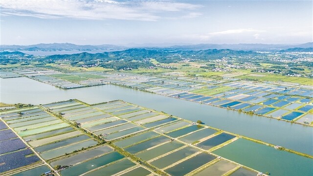 生态养殖