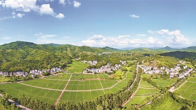 丰收在望