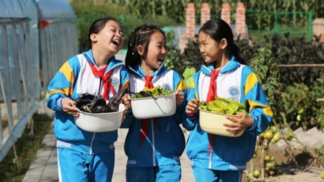 甘肃定西学子爱心义卖传温情