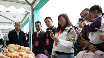 中国马铃薯大会定西启幕