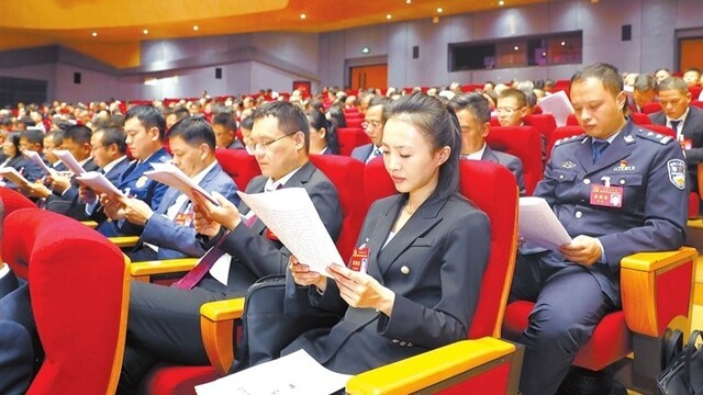 认真听取报告