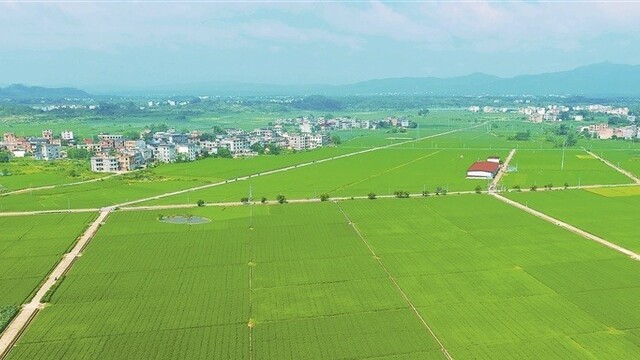 好“丰”景