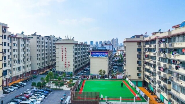 枝叶关情 温暖民心