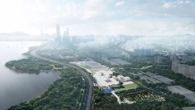 全球首个！红树林湿地博物馆落地深圳