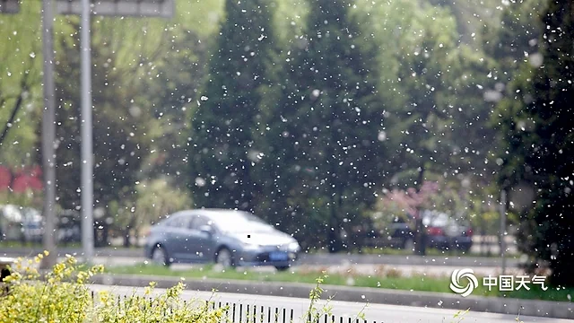 北京天气温暖 杨柳絮纷飞-北京的天气晴朗炎热英文