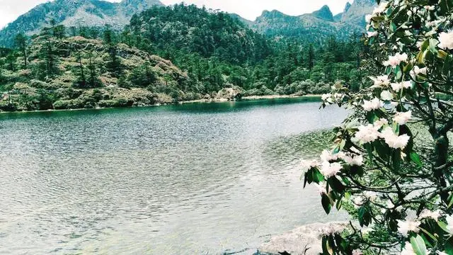 大香格里拉旅行新增一个景点，画好蛾眉梳螺髻-大香格里拉旅游圈