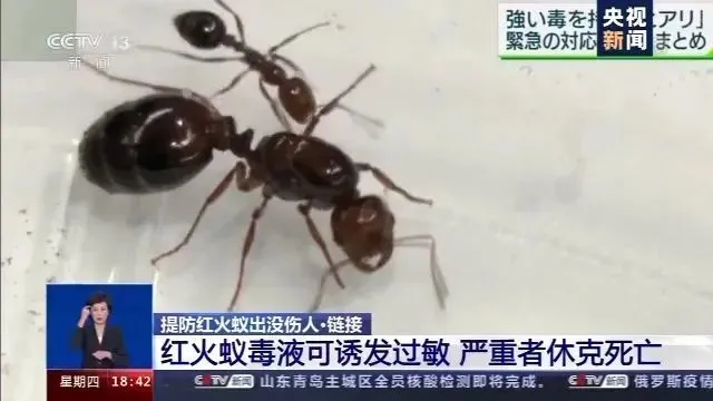 警惕！可致命！江西一地已出现-紧急寻人江西新冠接触者