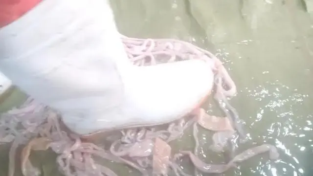 ▲河南清丰县永官食品有限公司工人穿胶鞋踩洗鹅肠。 新京报调查组 摄