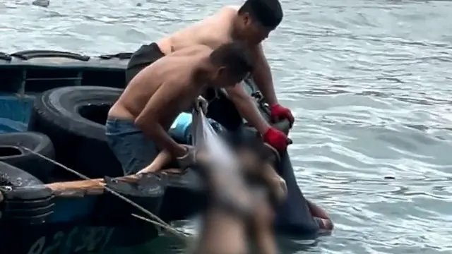 台风“桦加沙”来袭，香港一家三口观浪时坠海