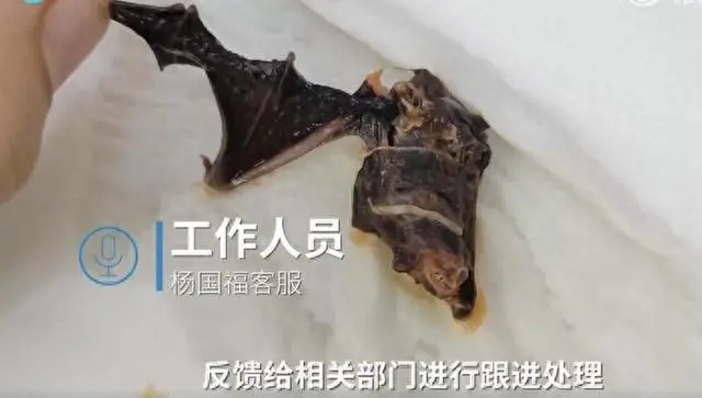 1斤豆芽卖28.8元？从“吃不起”到“不敢吃”，杨国福麻辣烫如何走到了今天？_https://www.izongheng.net_企业_第2张