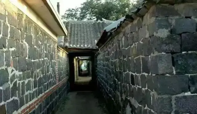 山东龙口桑岛三天两晚旅游详细攻略，第二天，赶海，钓鱼，下海-龙口桑岛旅游攻略2019