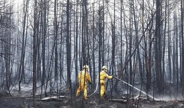 2023年6月3日，消防员在加拿大新斯科舍省谢尔本县的森林灭火。图｜新华社
