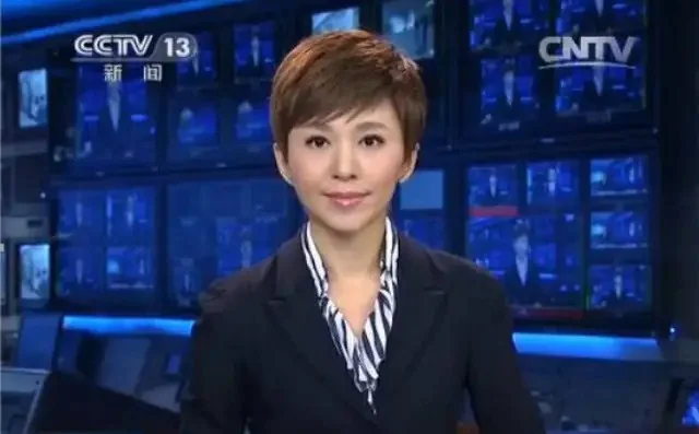 央视主持人欧阳夏丹近照，穿着简单难掩优雅好气质-央视主持人欧阳夏丹干嘛去了