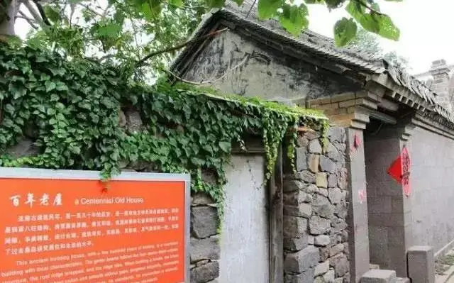 山东龙口桑岛三天两晚旅游详细攻略，第二天，赶海，钓鱼，下海-龙口桑岛旅游攻略2019