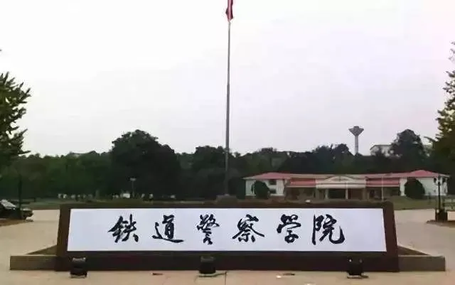 新中国十大悍匪排行榜（建国后十大惊天大案） 第9张