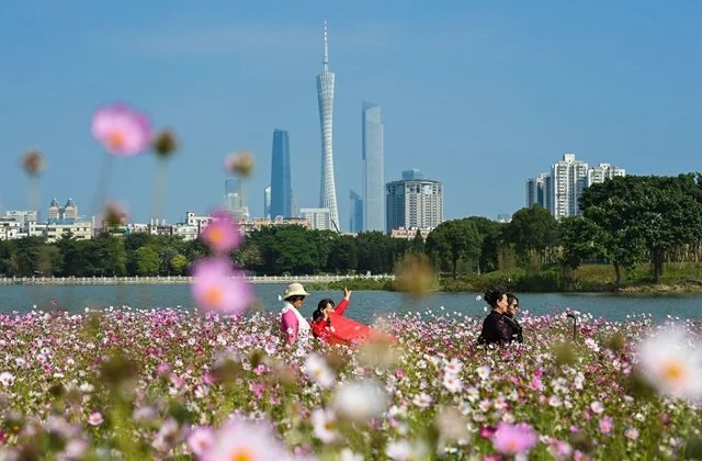 A股上市公司区域版图：北上深主场优势2