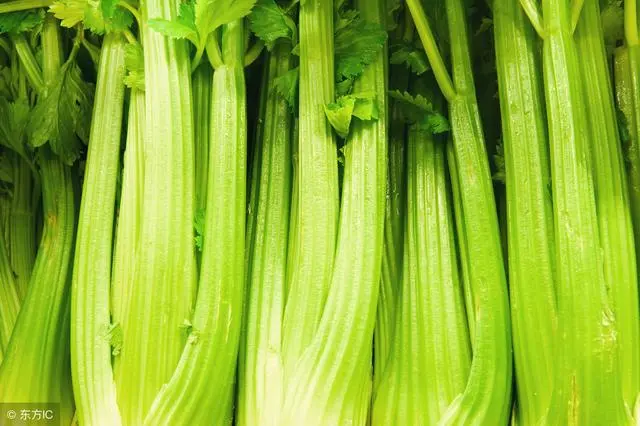 壹健康小知识：这3种食物虽好，但便秘患者不能多吃，有可能加重便秘插图2