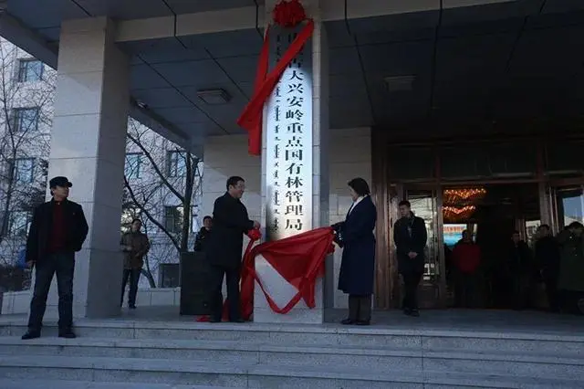 ▲国家对大兴安岭林业的管理从来没有放松过