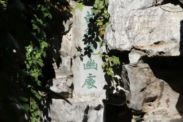 【转载】以《红楼梦》中的一个片段为材料引出来的作文题 贾宝玉,今年高考最大的赢家