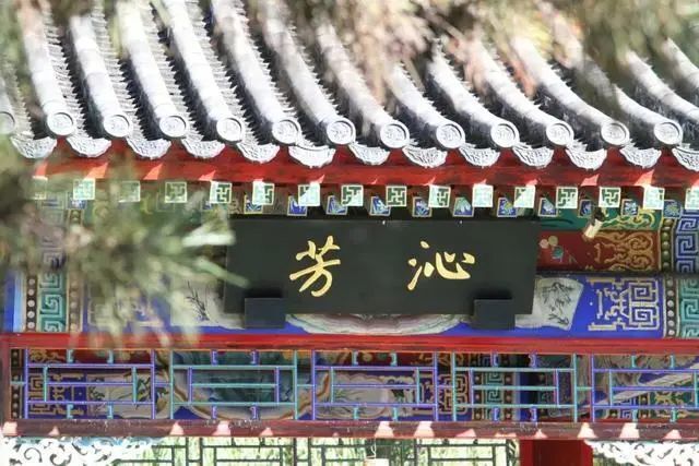 贾宝玉，今年高考最大的赢家