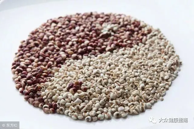 薏米炒熟和生的有什么区别 搭配什么祛湿最好（炒熟的薏米和生薏米的区别图片）