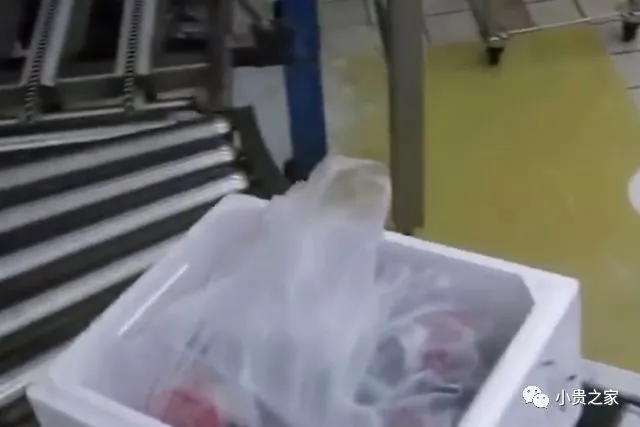 见识下国外“章鱼”流水线，看着就很过瘾，做好直接出售（章鱼在水中游泳的方向是什么方向）