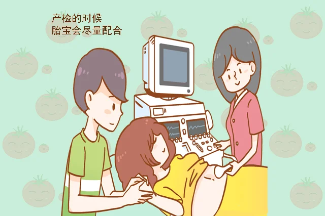 学会了吗（谁可以弄个假怀孕证明）假的怀孕证明 第6张