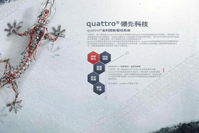 除了奥迪的壁虎，奔驰、宝马上的特殊符号你知道多少？(宝马特殊标志)