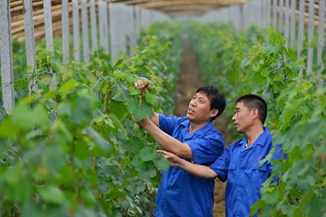 这样也行？（骗老人怀孕了会怎么样）骗老人家钱会有刑事责任吗 第10张