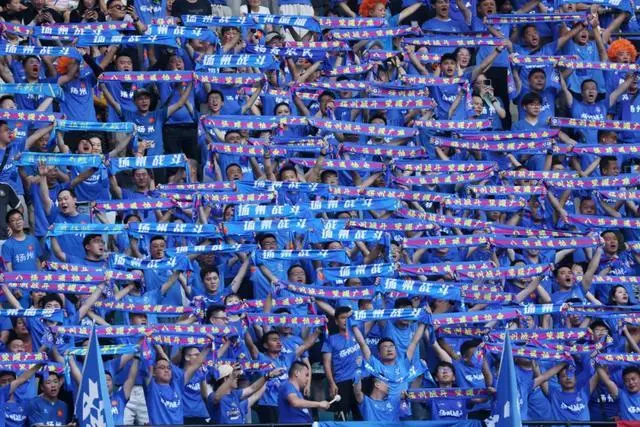6月29日晚，扬州队球迷为球队加油助威。中新社记者 泱波 摄