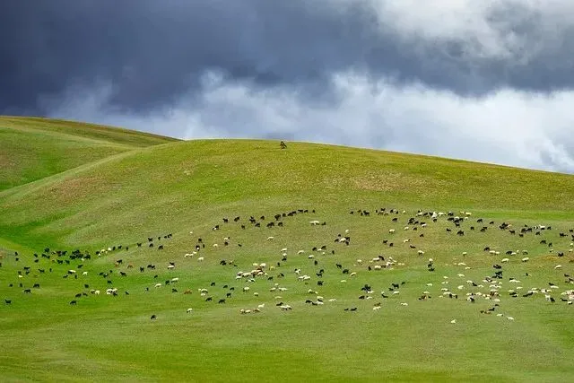 △ 蒙古国草原景观。（图/pixabay）