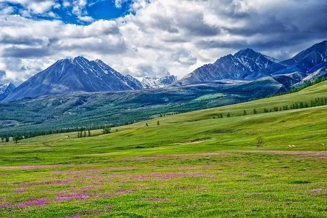 △ 晴天、草原构成蒙古国的绝美景观。（图/pixabay）