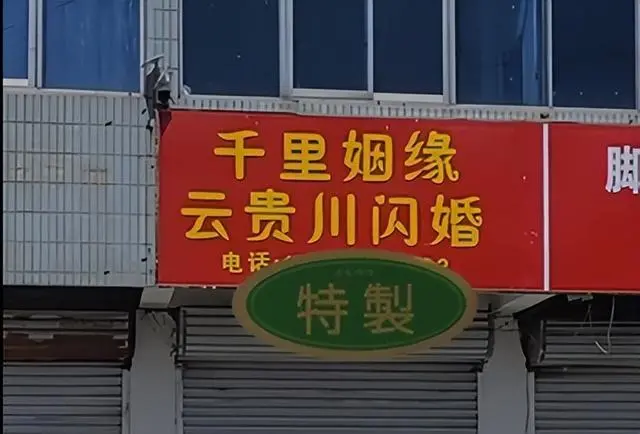 20243£һƹ顱Ʊͼ