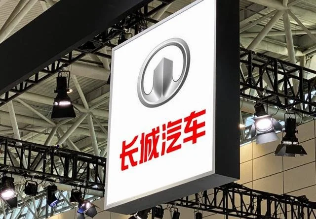 深谋远虑，胸有成竹！魏建军的长期主义-魏建军出身