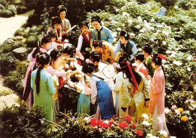 【转载】以《红楼梦》中的一个片段为材料引出来的作文题 贾宝玉,今年高考最大的赢家