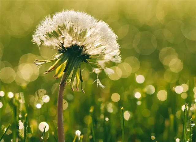 设计师遵循哪些原则才能提升用户体验1