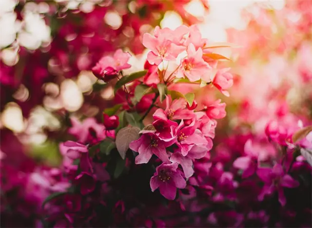 设计师遵循哪些原则才能提升用户体验2