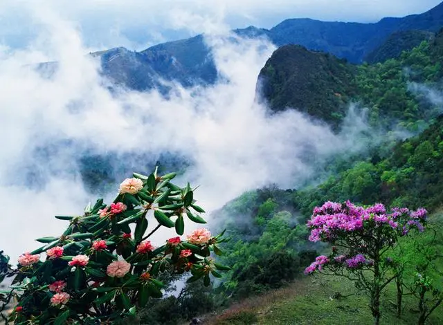 大香格里拉旅行新增一个景点，画好蛾眉梳螺髻-大香格里拉旅游圈
