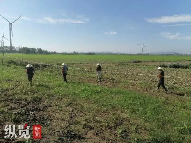 防汛志愿者巡视地面是否有冒泉眼（图源/受访者供图）