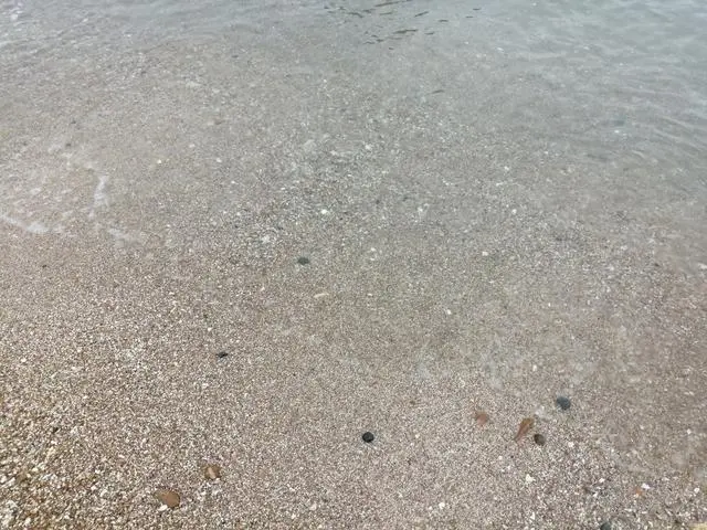 桑岛三天两晚旅游详细攻略，到达第一天，保存好去的时候可以参考-桑岛好玩吗