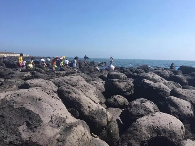 山东龙口桑岛三天两晚旅游详细攻略，第二天，赶海，钓鱼，下海-龙口桑岛旅游攻略2019