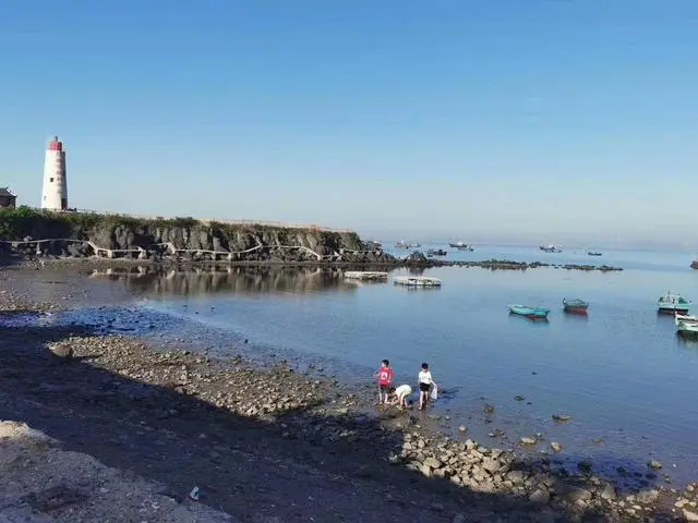 山东龙口桑岛三天两晚旅游详细攻略，第二天，赶海，钓鱼，下海-龙口桑岛旅游攻略2019