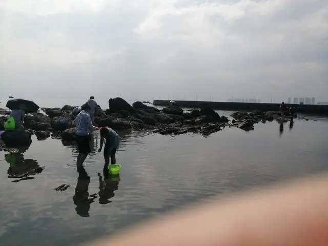 山东龙口桑岛三天两晚旅游详细攻略，第二天，赶海，钓鱼，下海-龙口桑岛旅游攻略2019